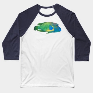 Napoleonfish (Humphead Wrasse) Baseball T-Shirt